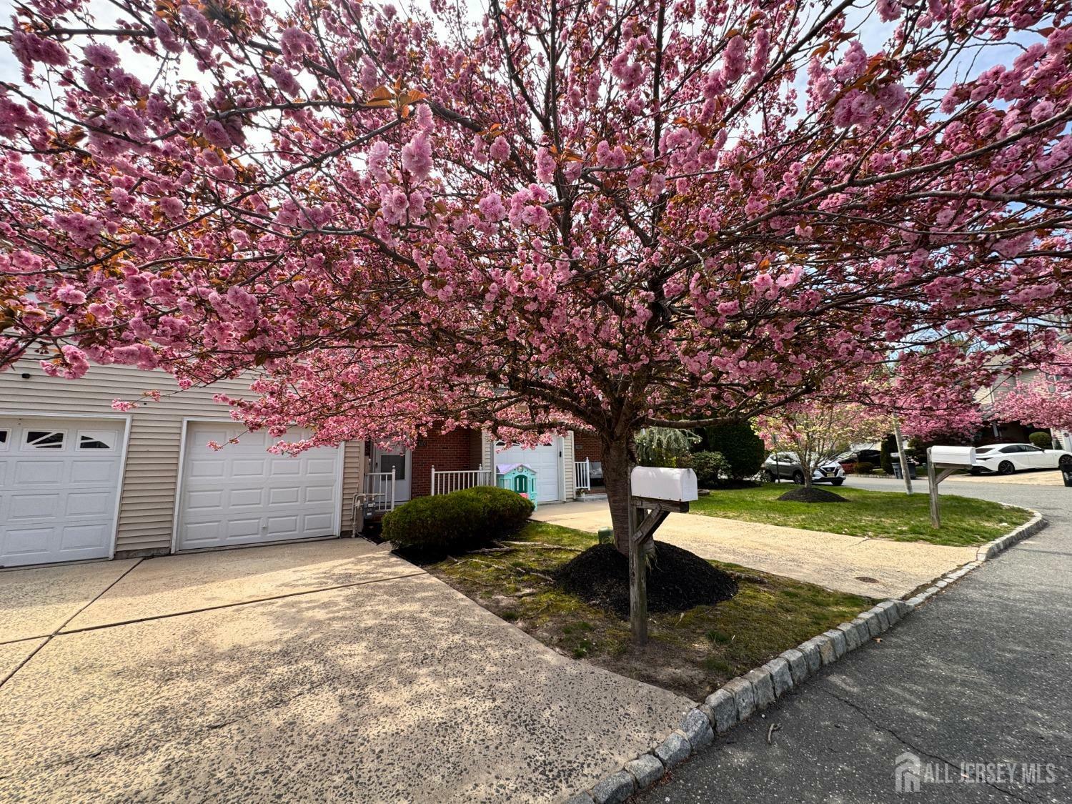 Property Photo: 30 Goldsmith Drive NJ 08884