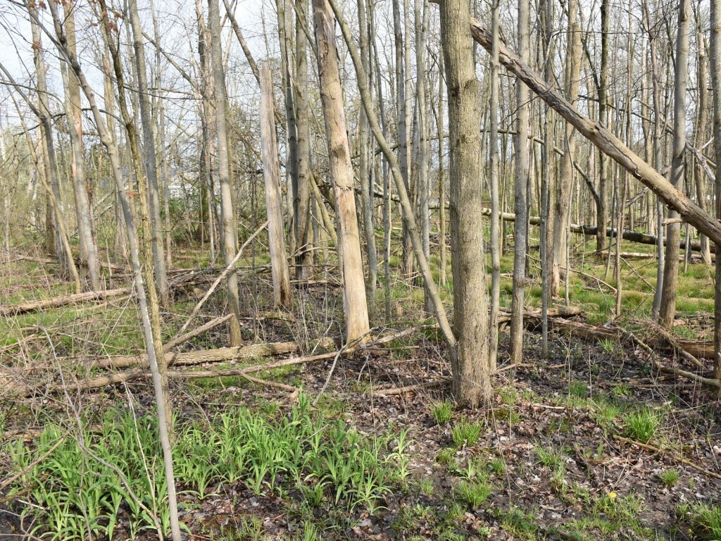 Property Photo: 3214-024 Blooming Valley Road PA 16335