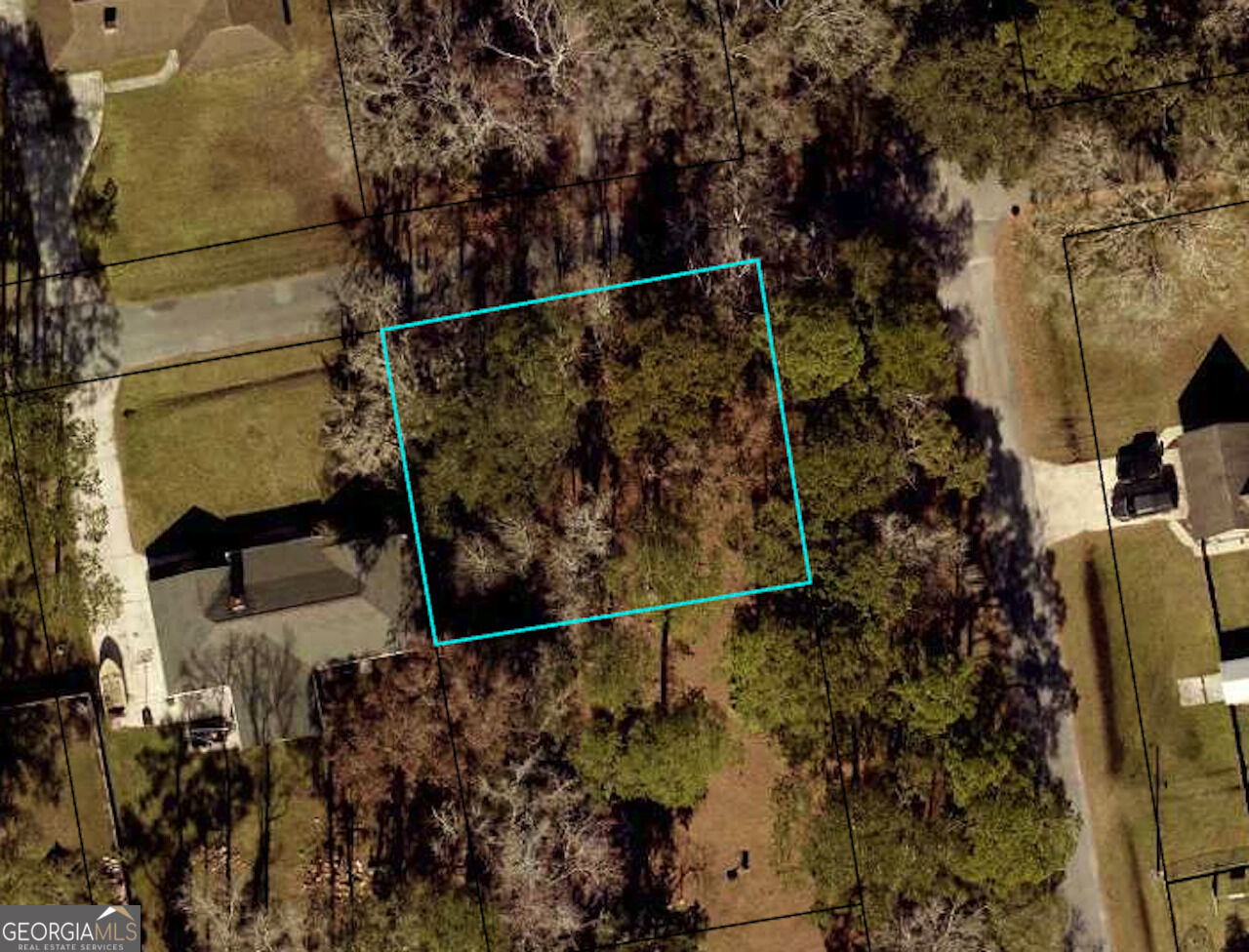 Property Photo:  0 E Thrift Street  GA 31548 