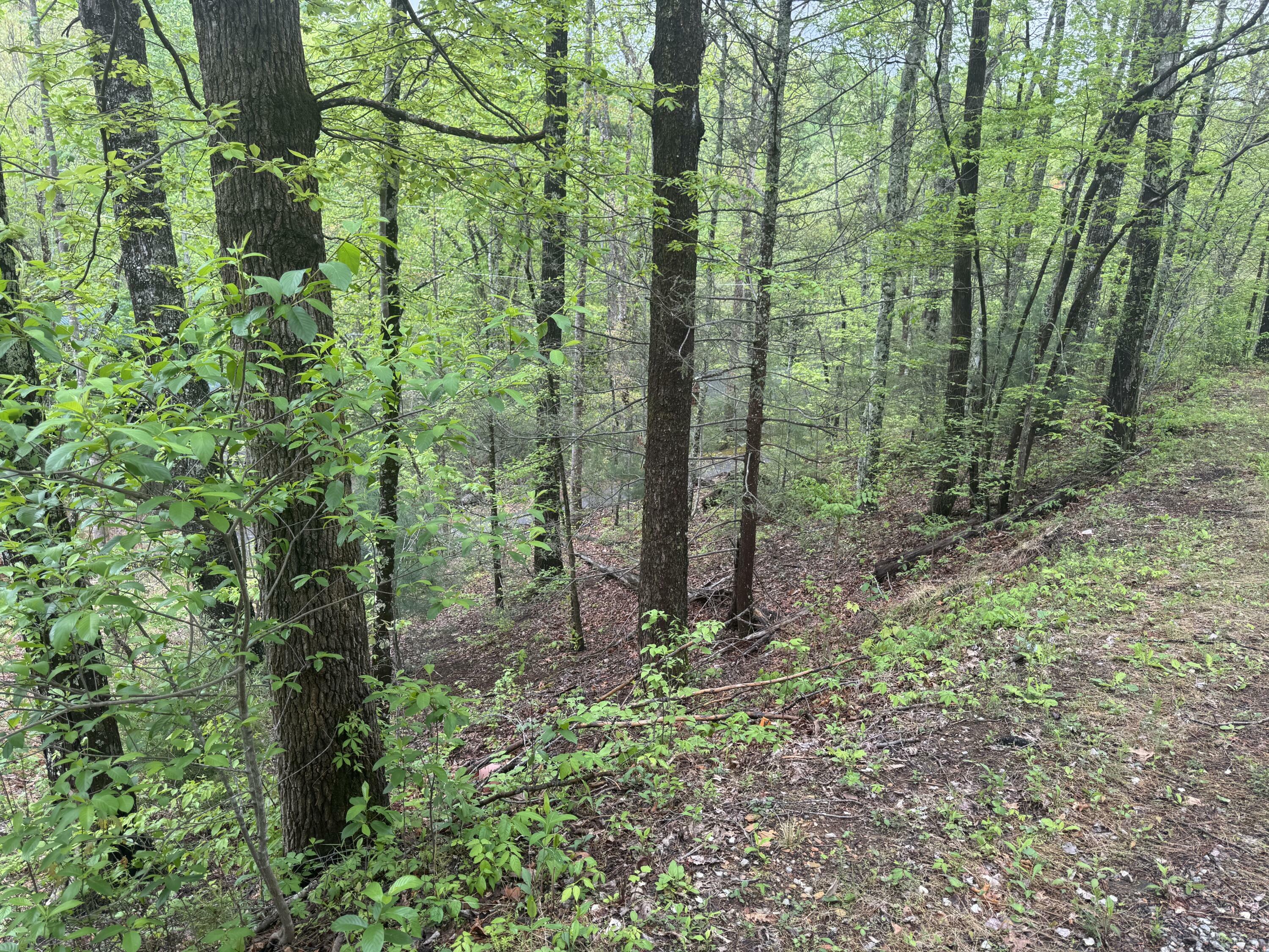 Property Photo: 0 Sky View Drive TN 37876