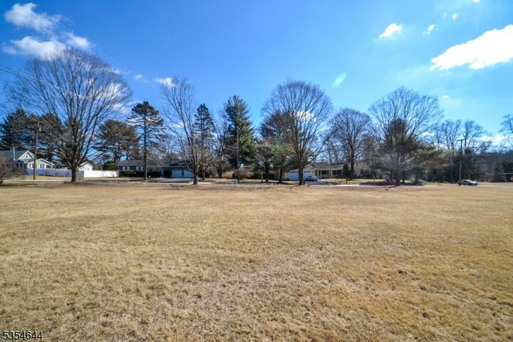 3 Cathy Lane  Chester Boro NJ 07930 photo