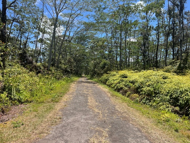 Property Photo:  Plumeria Rd  HI 96778 