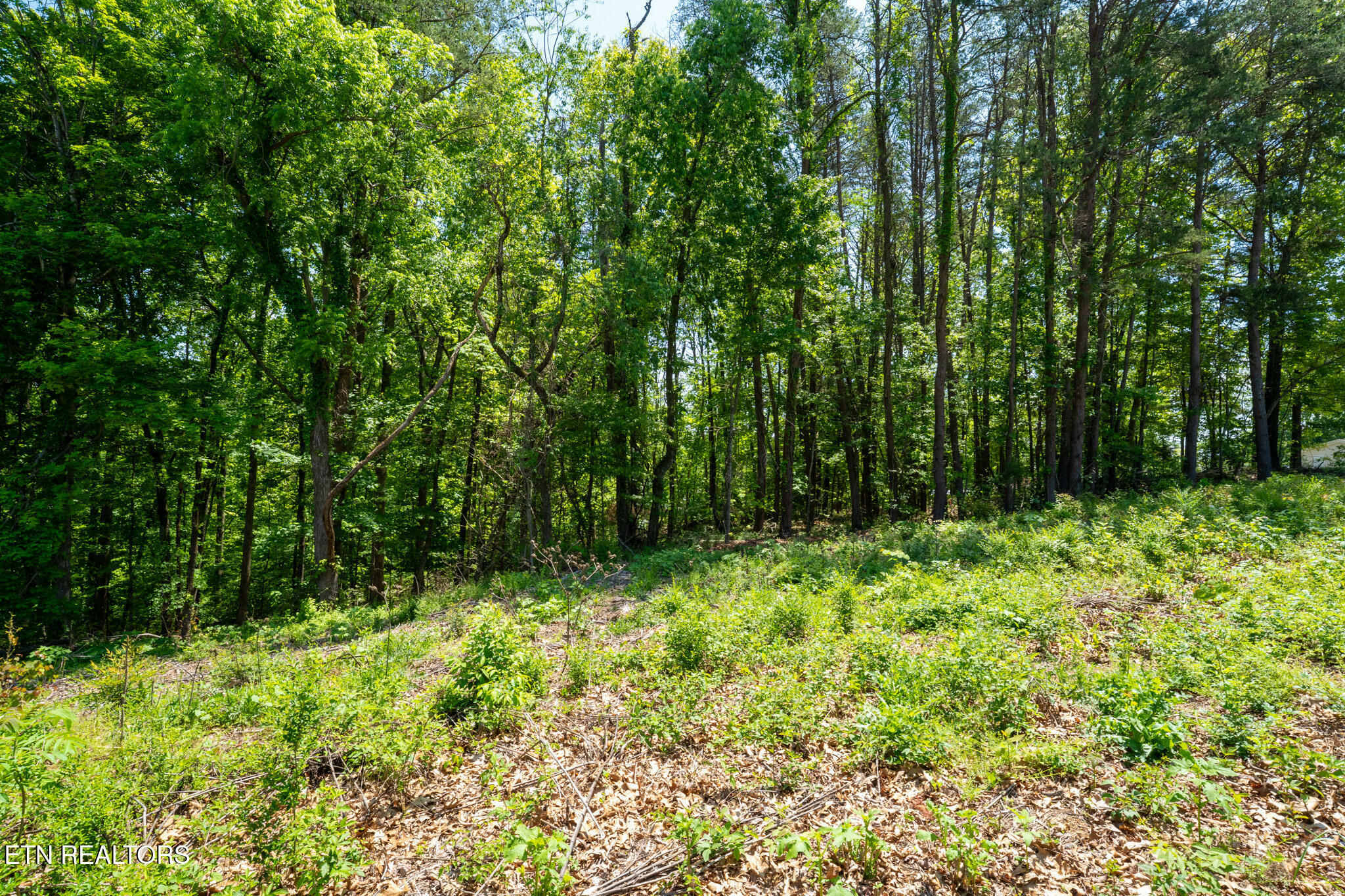 Property Photo: 478 Skyline Drive TN 37748