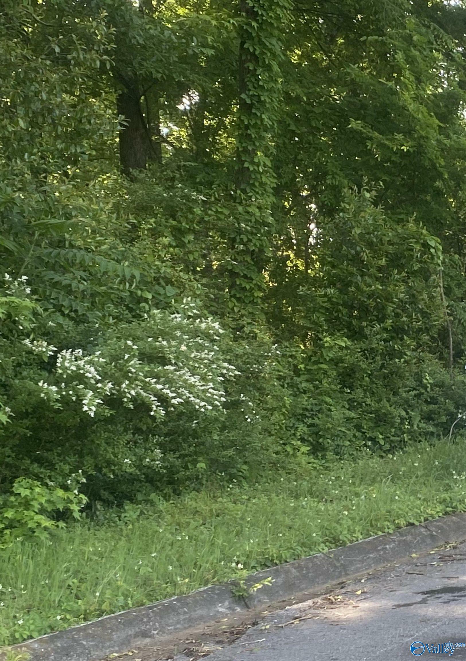 Lot 10-11 Blair Street S  Florence AL 35630 photo