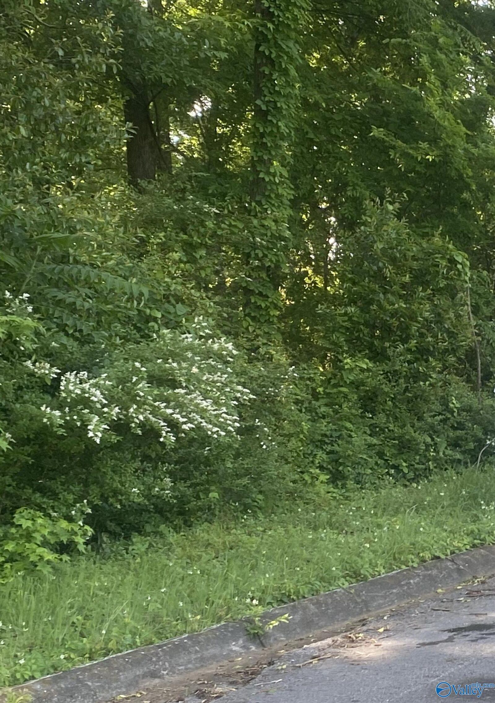 Property Photo:  Lot 10-11 Blair Street S  AL 35630 