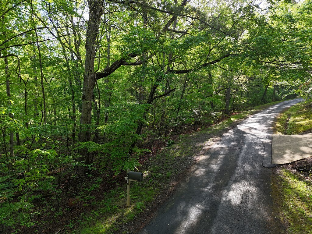 Property Photo: L93 - 95 Timberline GA 30582