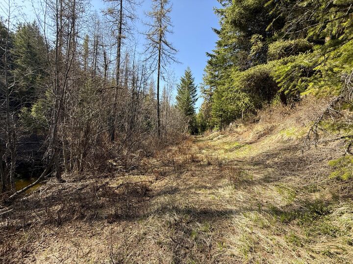 Property Photo:  Tbd Giveout Creek Rd  WA 98859 