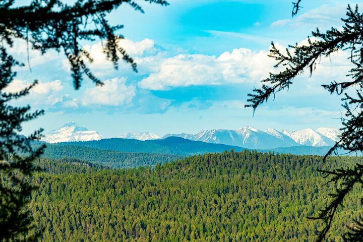 Property Photo:  31 Forest Path Drive  MT 59937 