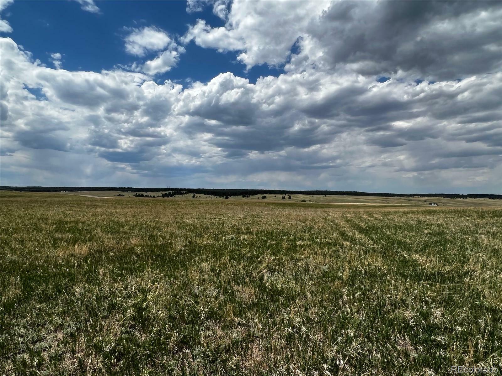 Property Photo: 11970 Woodridge Terrace CO 80908