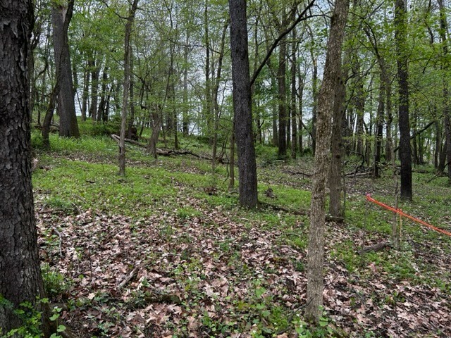 Property Photo: Lot 216 Thompsonville Road PA 15317