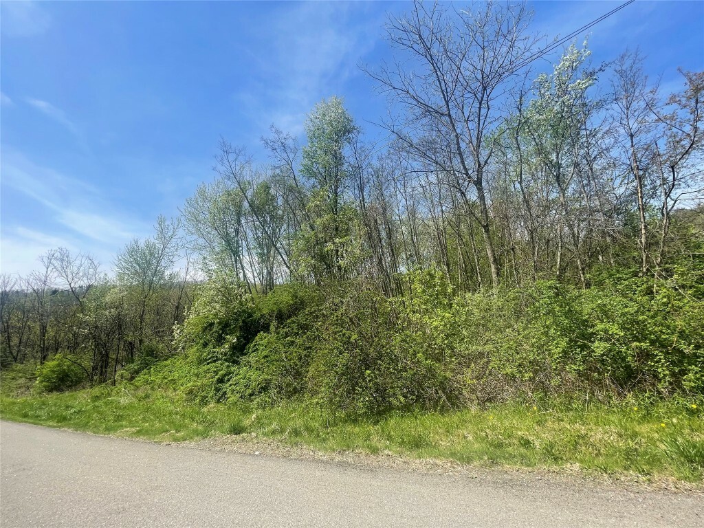 445 Miller Beach Rd  Owego NY 13827 photo