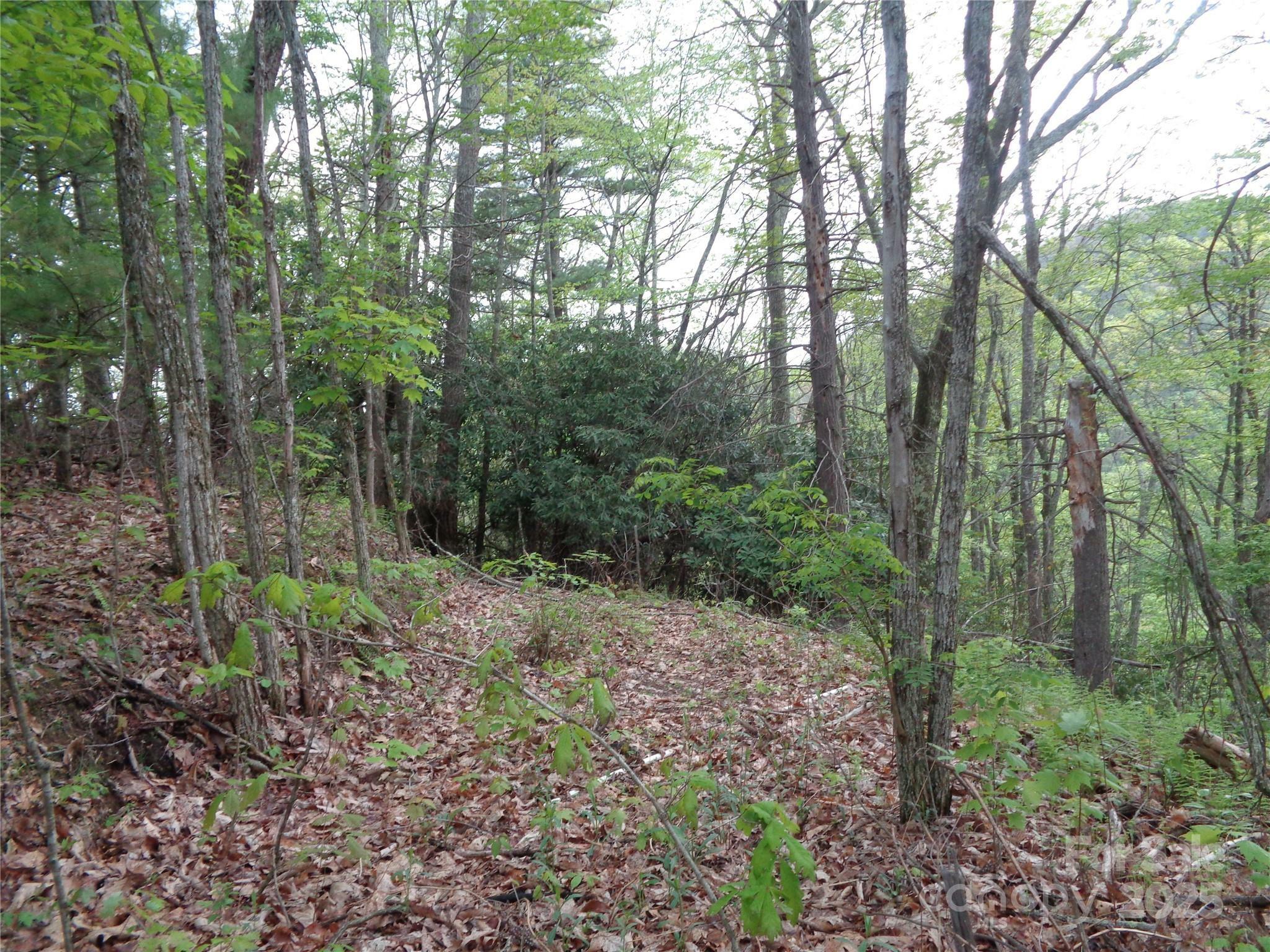 Property Photo: 00 Promiseland Road NC 28716