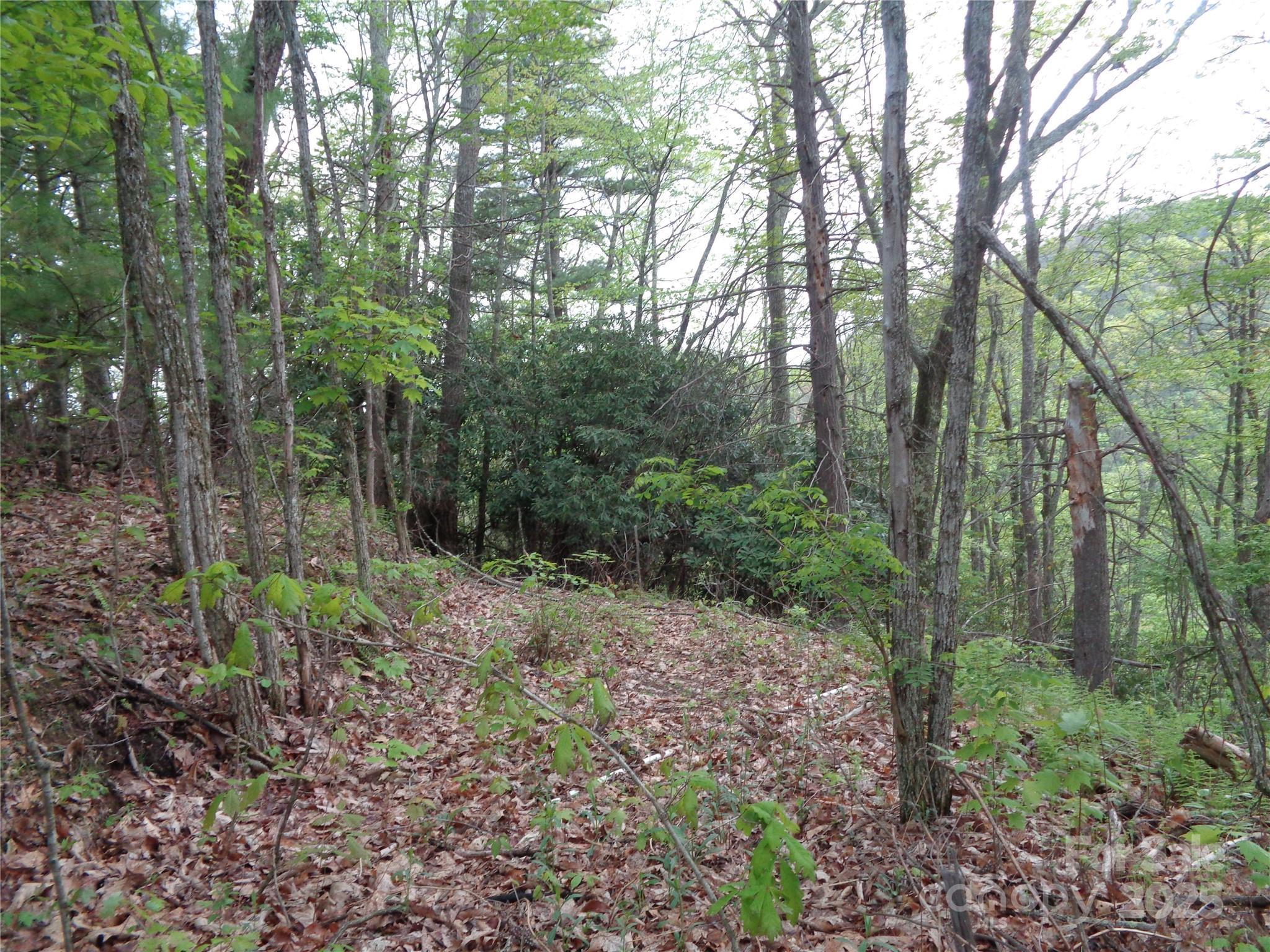 Property Photo: 00 Promiseland Road NC 28716