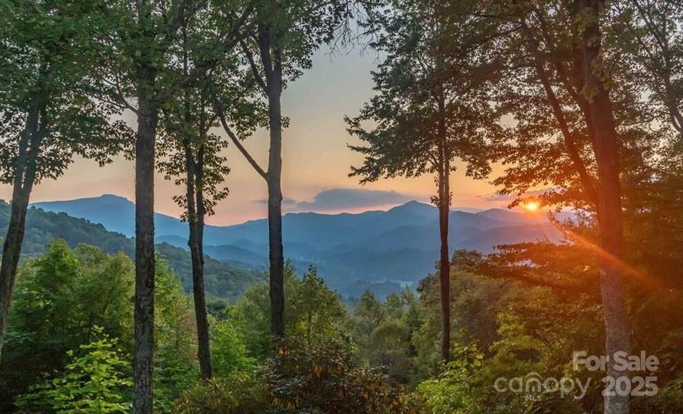 Property Photo:  243 Red Oak Trail  NC 28607 