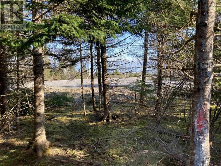 Property Photo:  Lot 21-7 Mary Cecelia Ridge  NS B0H 1P0 