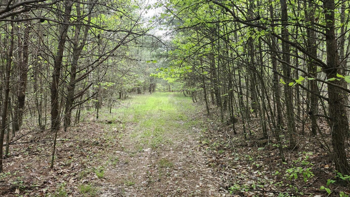 Property Photo: 0 Old Holy Water Road TN 37387