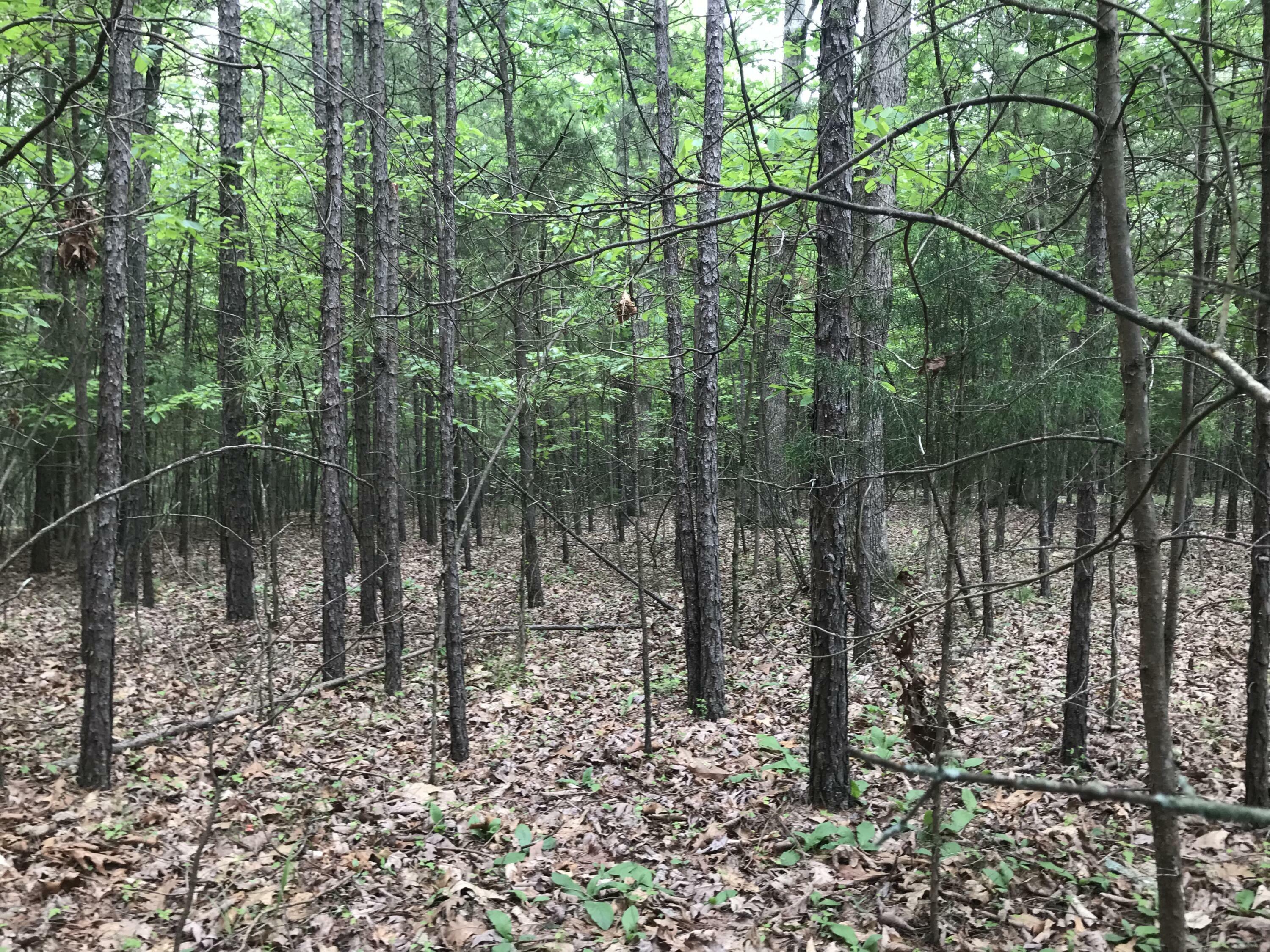 Property Photo: 0 Bluffview Drive TN 37327