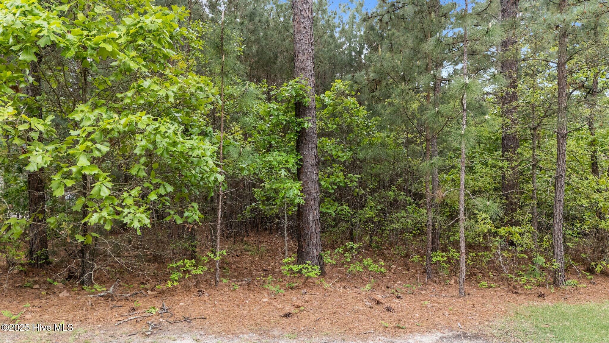 Property Photo: 113 Baker Circle NC 27376