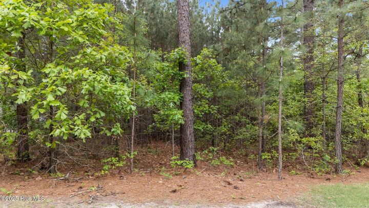 Property Photo: 113 Baker Circle NC 27376