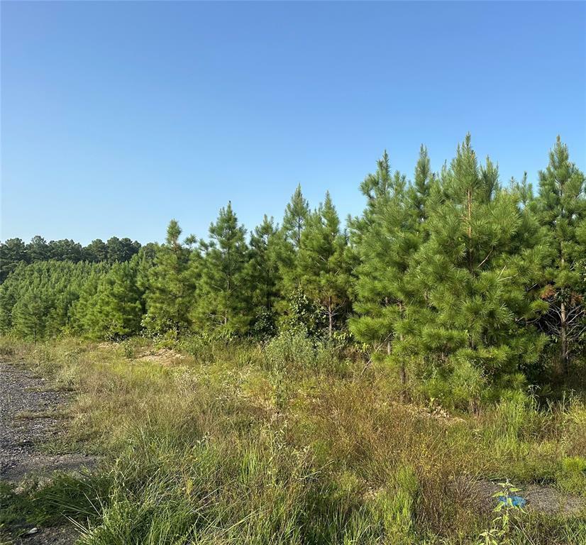 Property Photo: 162 Red Holly Trail OK 74728