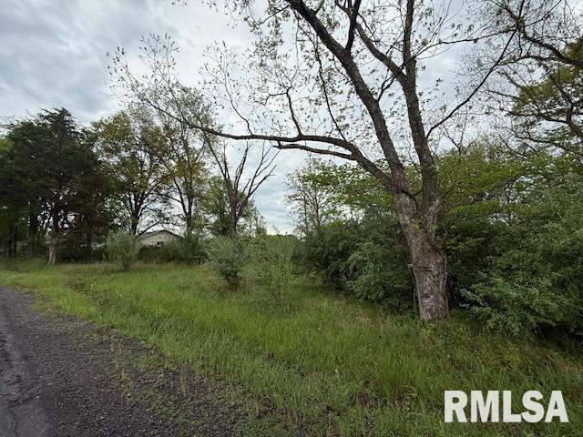 Property Photo: Tbd Country Club Road IL 62959