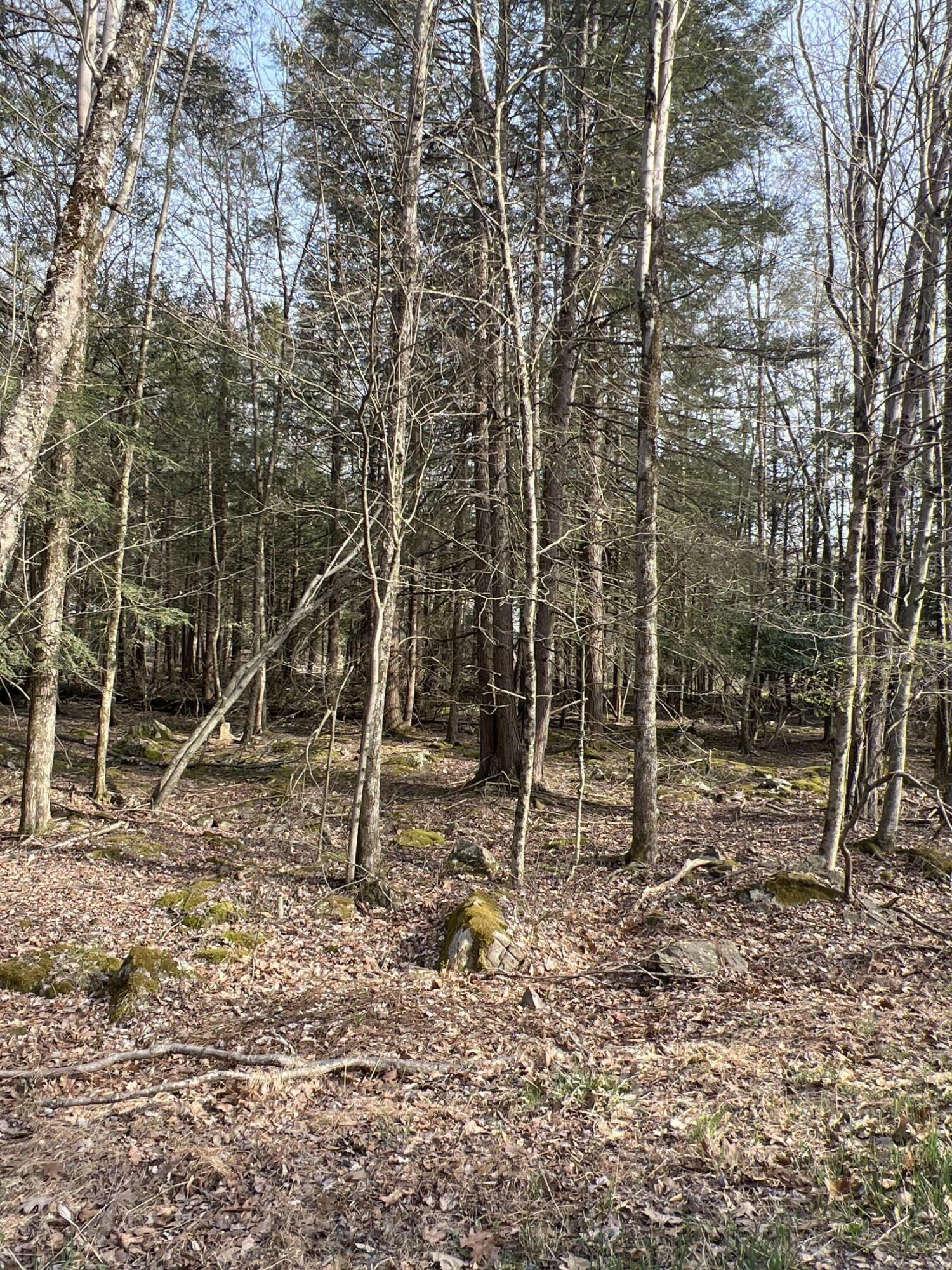 Property Photo: Lot 814 White Pine Drive PA 18347