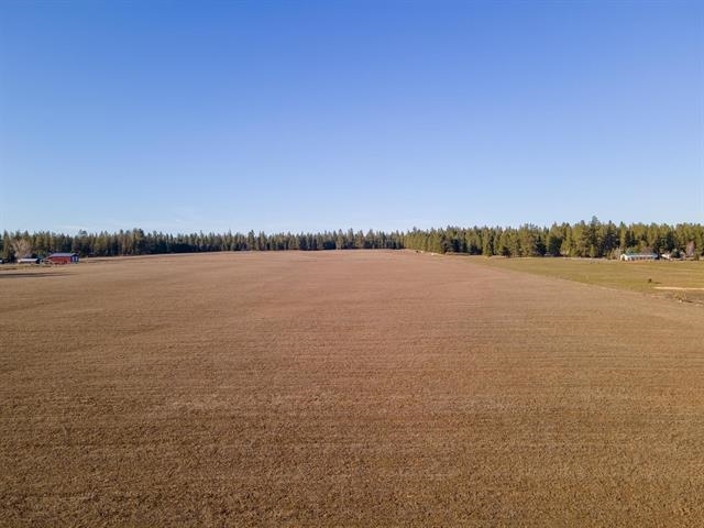 Property Photo: Xxx N Division Rd WA 99006