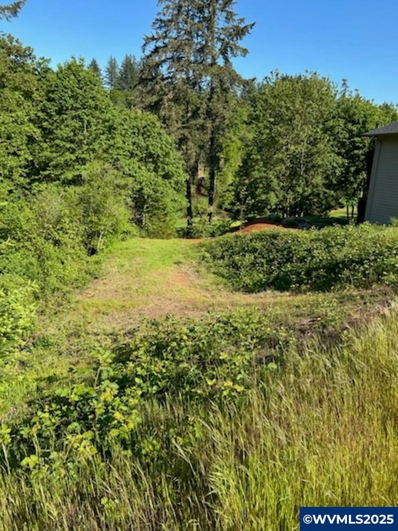 Property Photo: 545 Sahalee Ct SE OR 97306