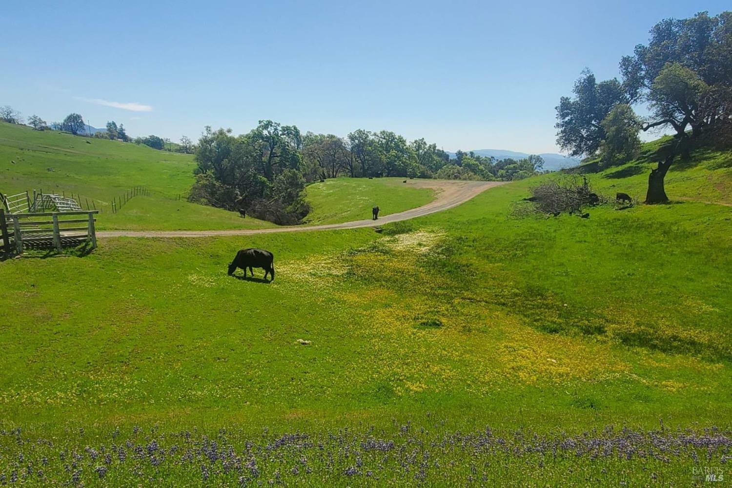 6998 Geysers Road  Geyserville CA 95441 photo