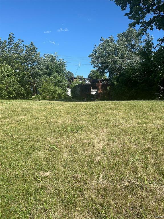 Property Photo: 4634 Nebraska Avenue 40 MO 63111