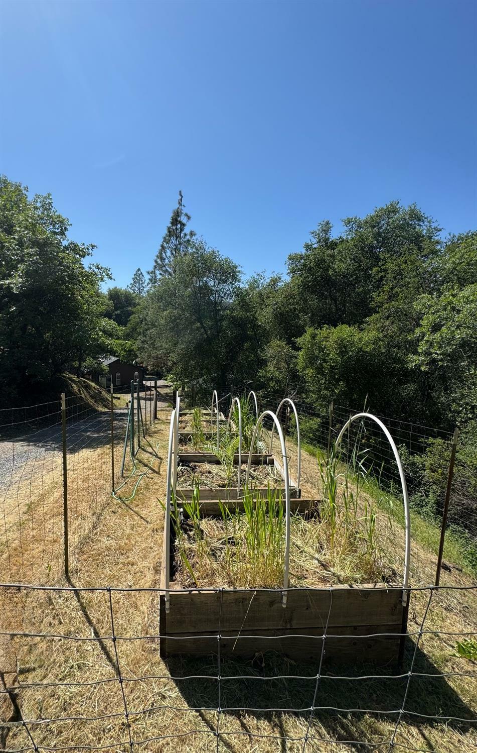 Property Photo: 11552 Tom Ray Dr CA 95949