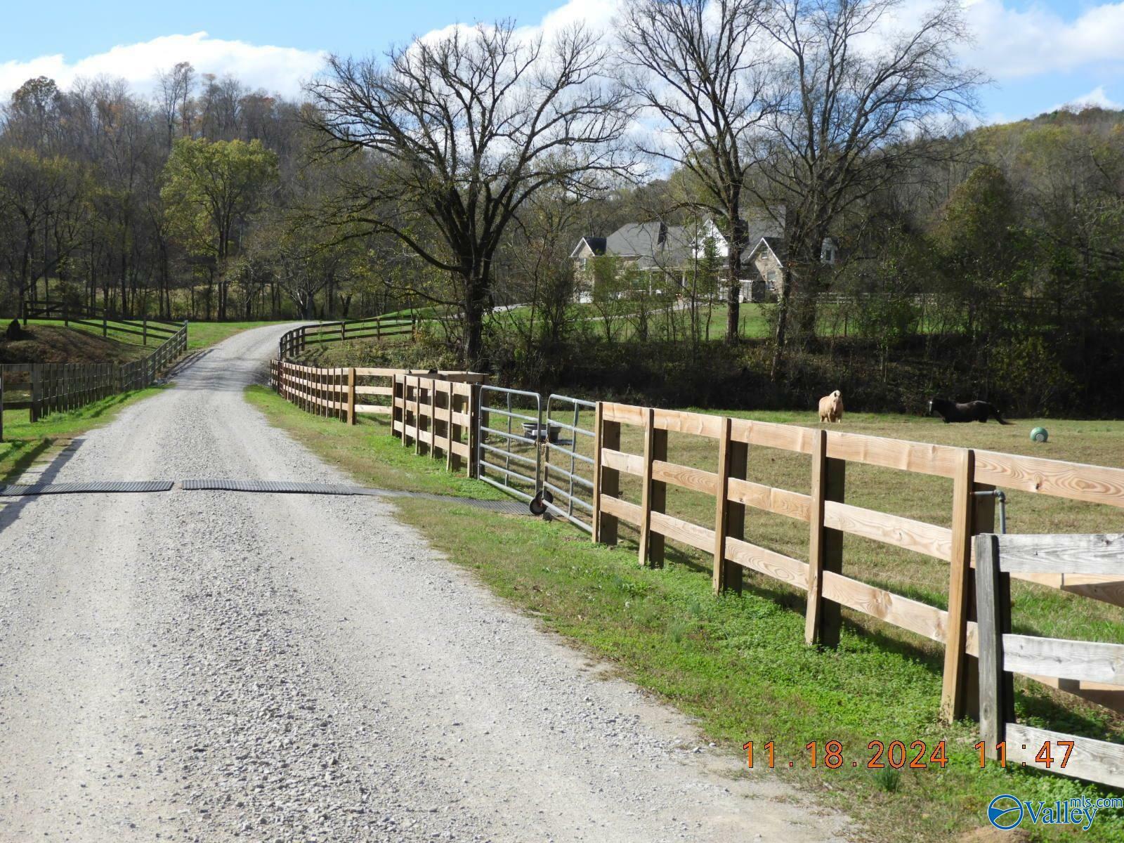 Property Photo: 790 Blooming Grove Road TN 38478