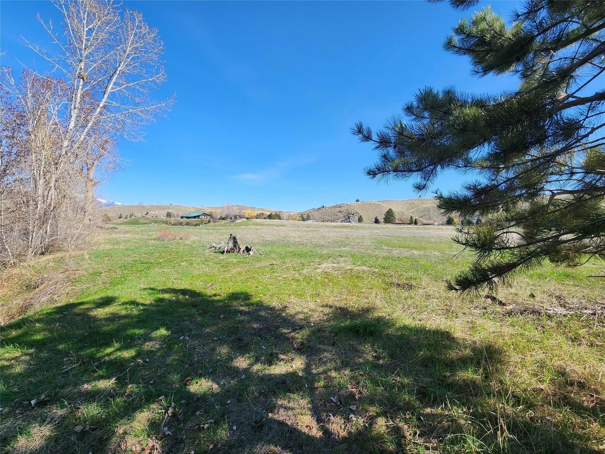 Property Photo: 151 Sleeping Child Drive MT 59840