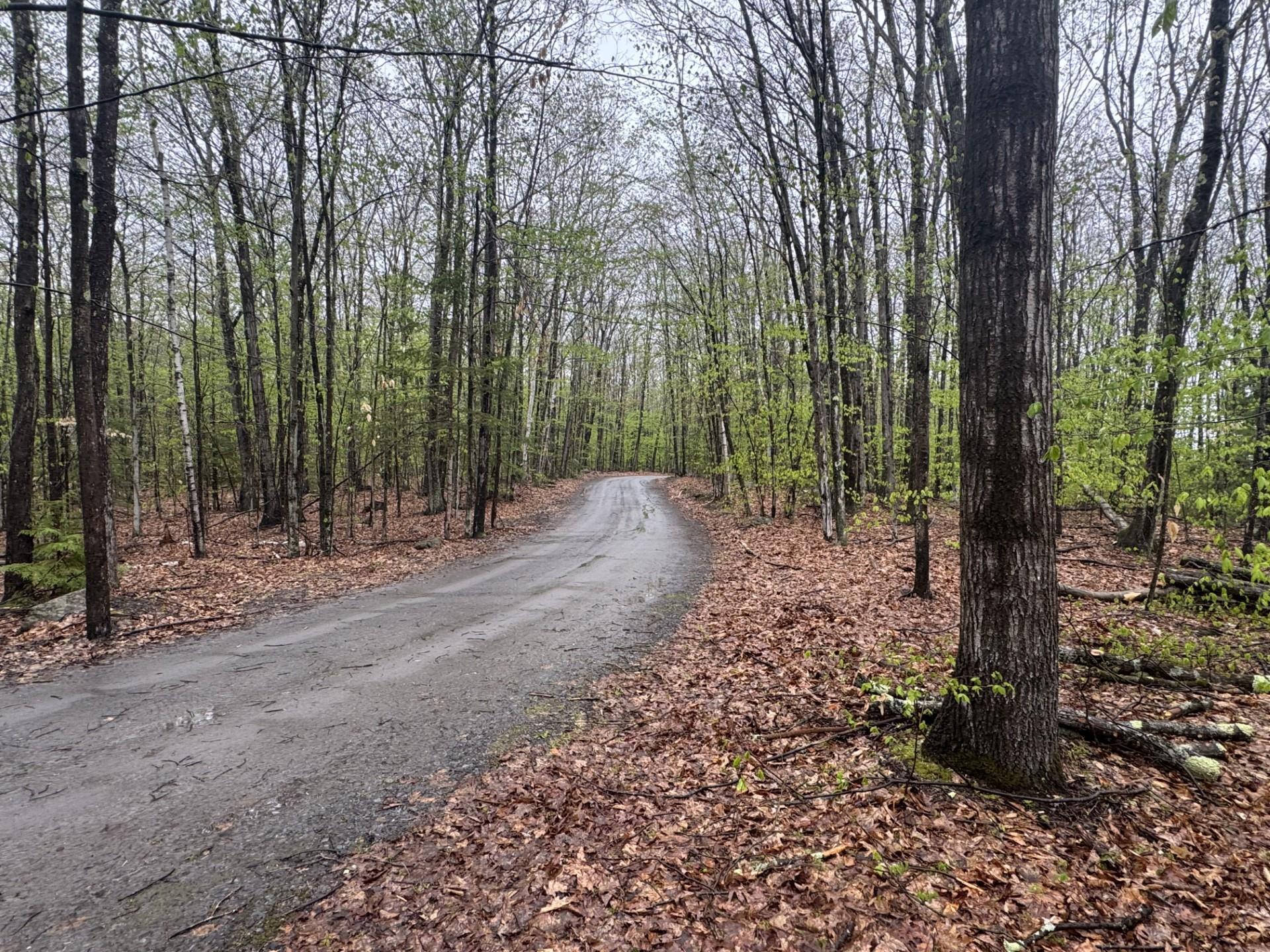 Property Photo:  0 Old Walpole Road  NH 03431 