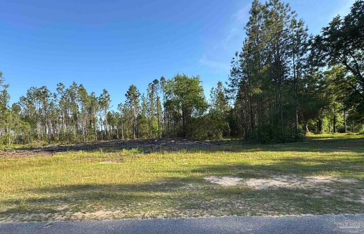 Property Photo:  0005 Martin Rd  FL 32570 