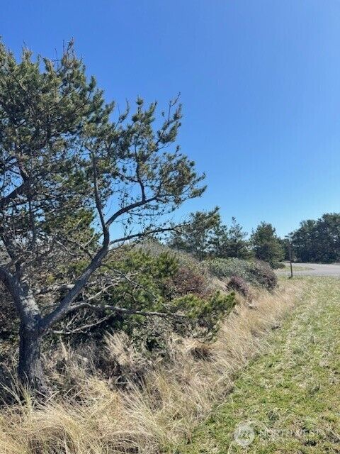 453 N Bel Air Loop  Ocean Shores WA 98569 photo