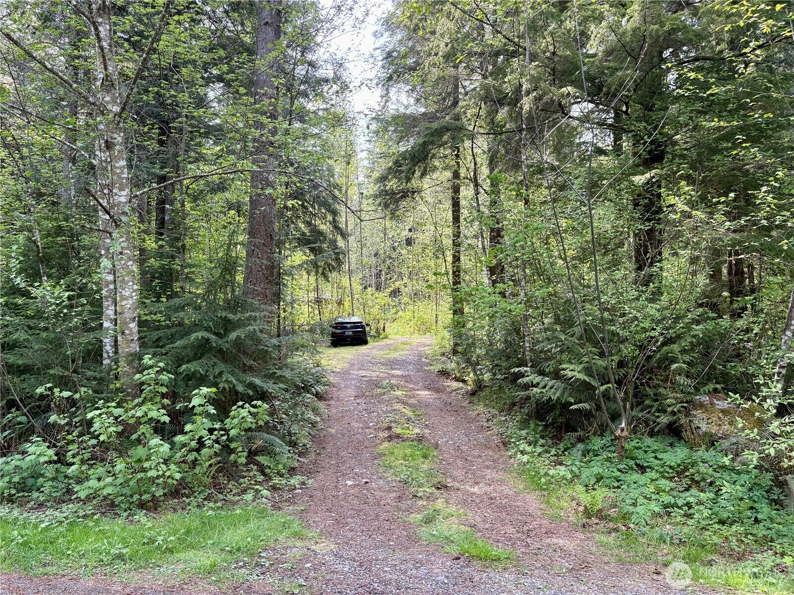 Property Photo: 9521 Red Mountain Lane WA 98266