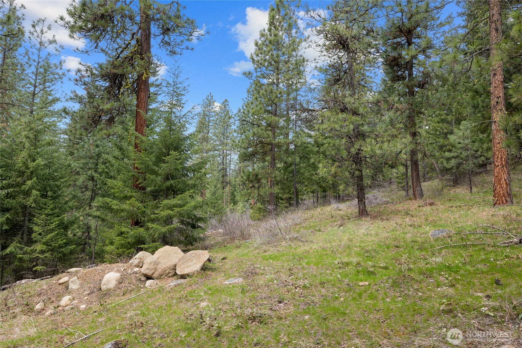 Property Photo: 190 Indigo Lane WA 98941