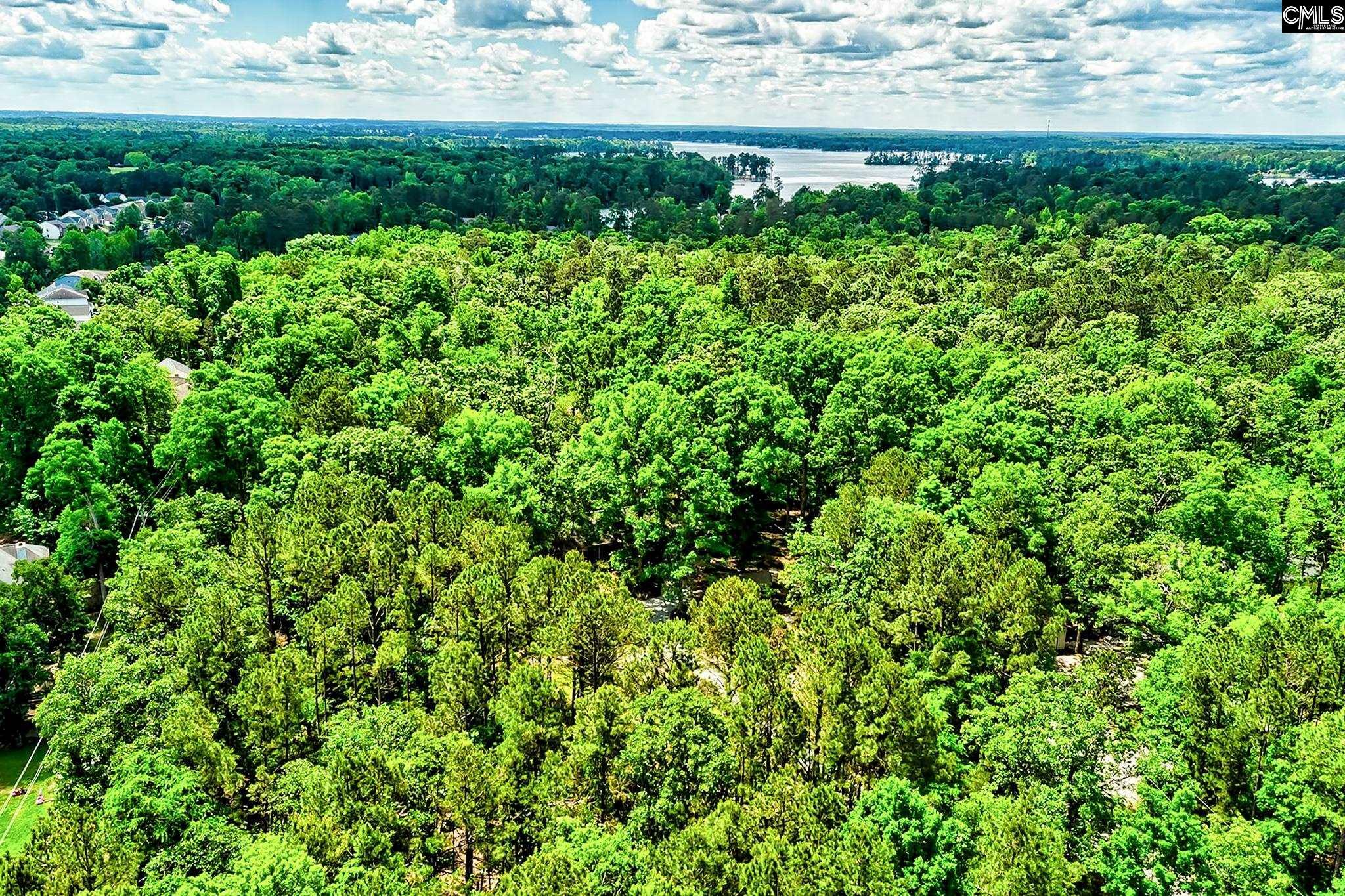 Property Photo: 1021 Old Bush River SC 29036-8104