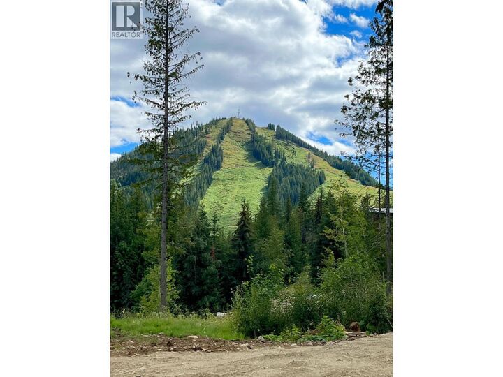 Property Photo:  311 Ridge Road  BC V0G 1Y0 