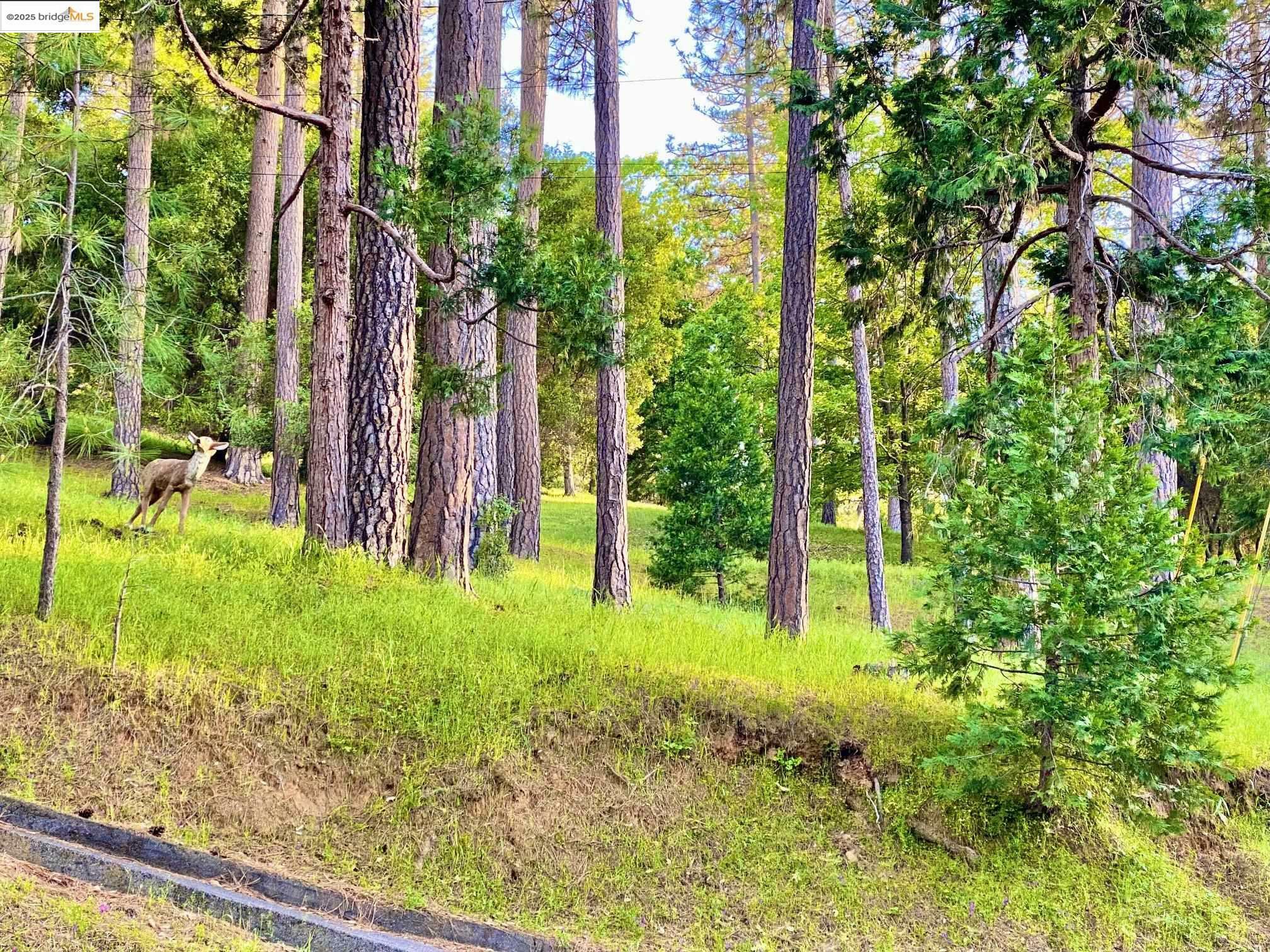 Property Photo: 12918 Jackson Mill Dr CA 95321
