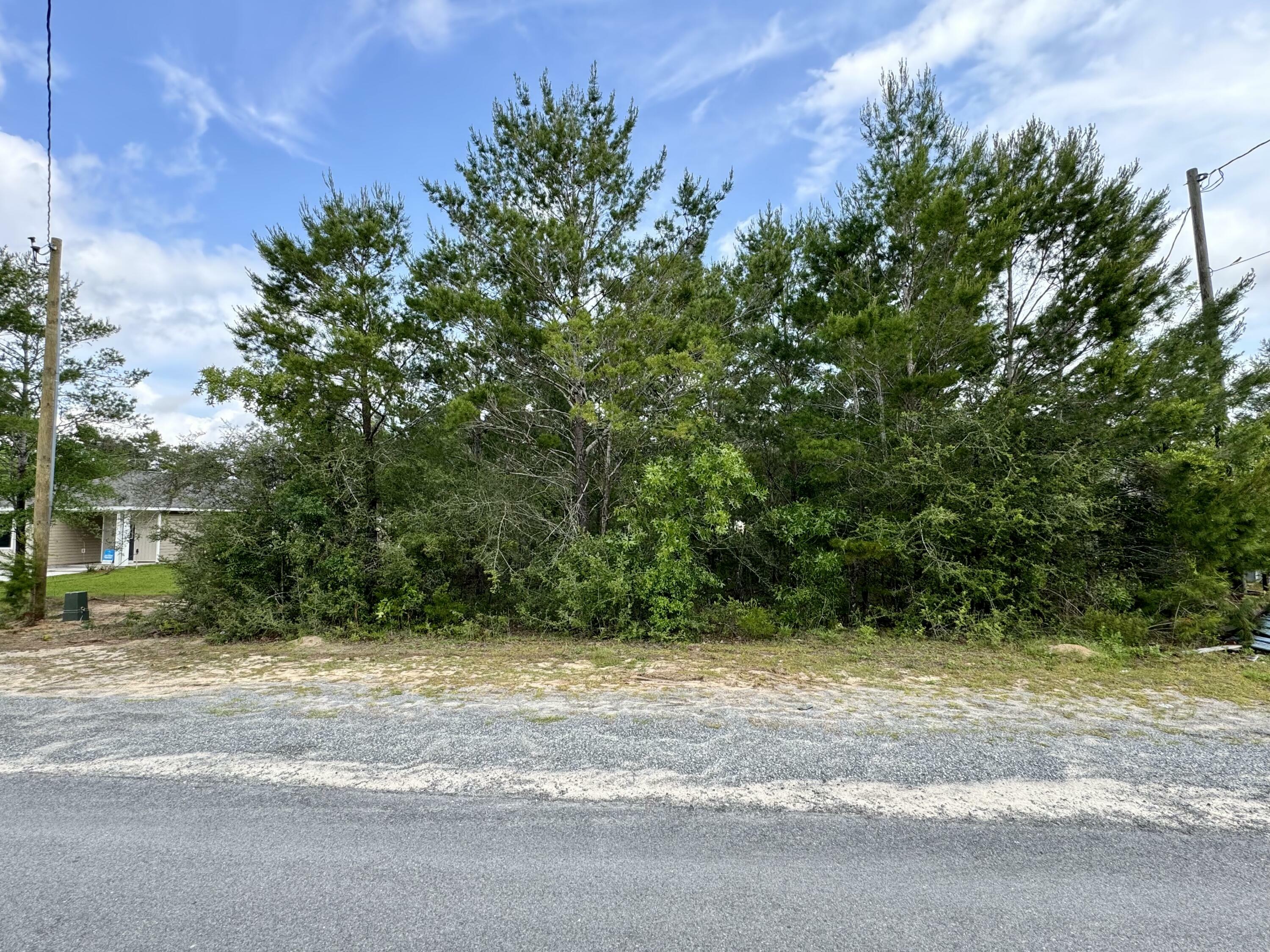 Property Photo: Lot 24 E Tiger Lily Lane FL 32433