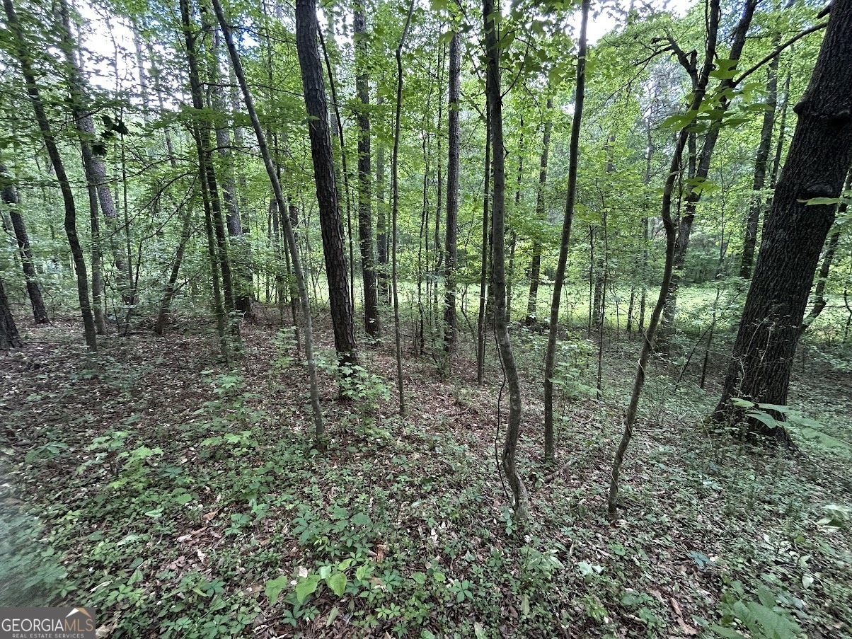 Property Photo: 0 Hog Liver Road GA 30117