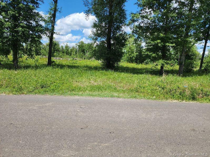 Property Photo: 380 Andrew Mouhot Road LA 70657