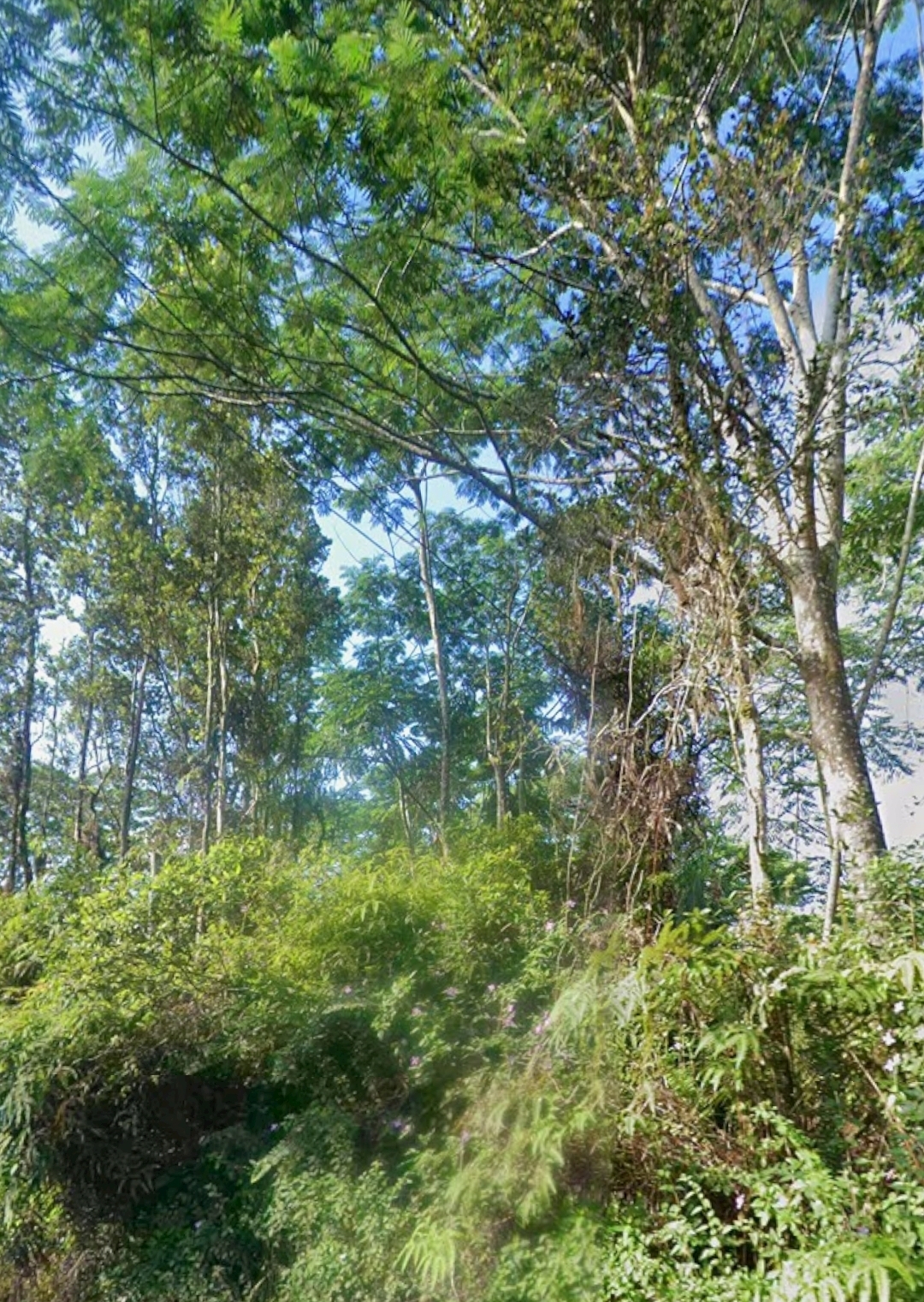 Property Photo:  Kupono St  HI 96778 