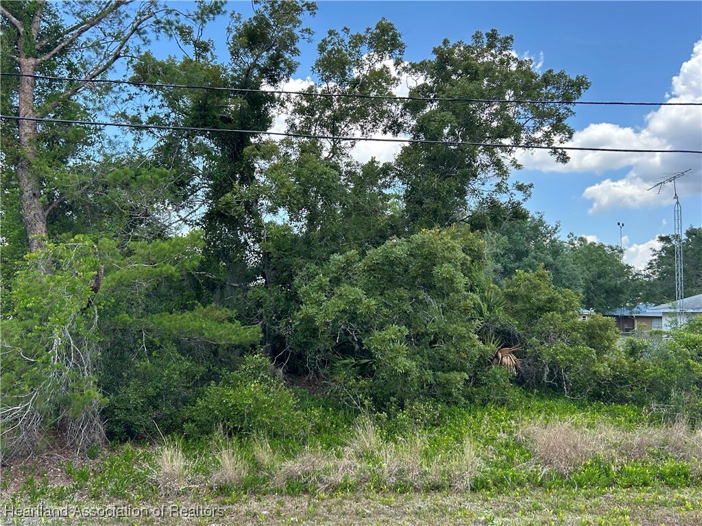 Property Photo: 210 Roosevelt Avenue NE FL 33852