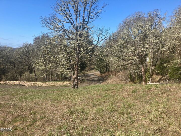 Property Photo: 1200 NE Center Street Lots 1-4 OR 97378