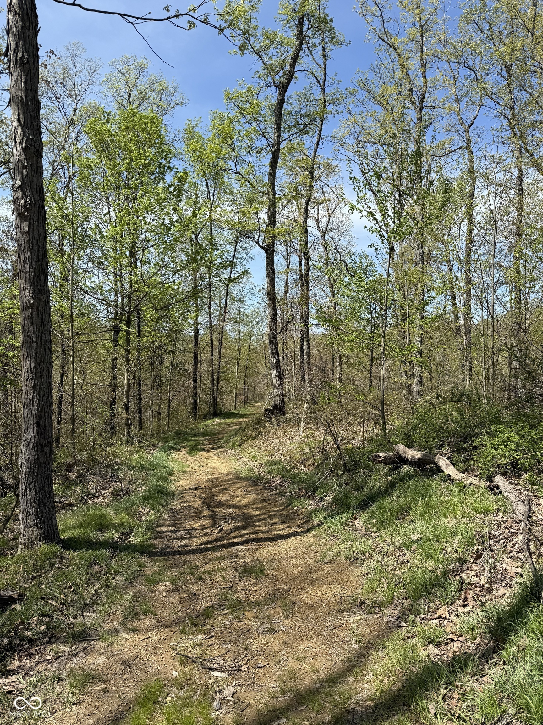 Property Photo: 8448 E Dobbs Cemetary Road IN 47201