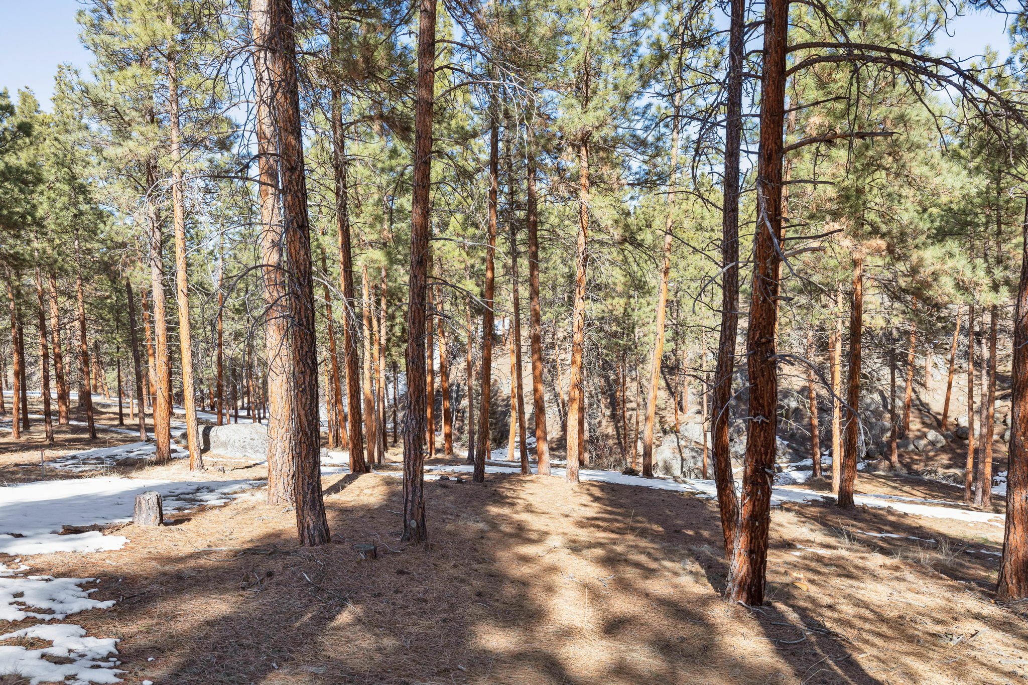 Property Photo: 1437 Stock Farm Road MT 59840