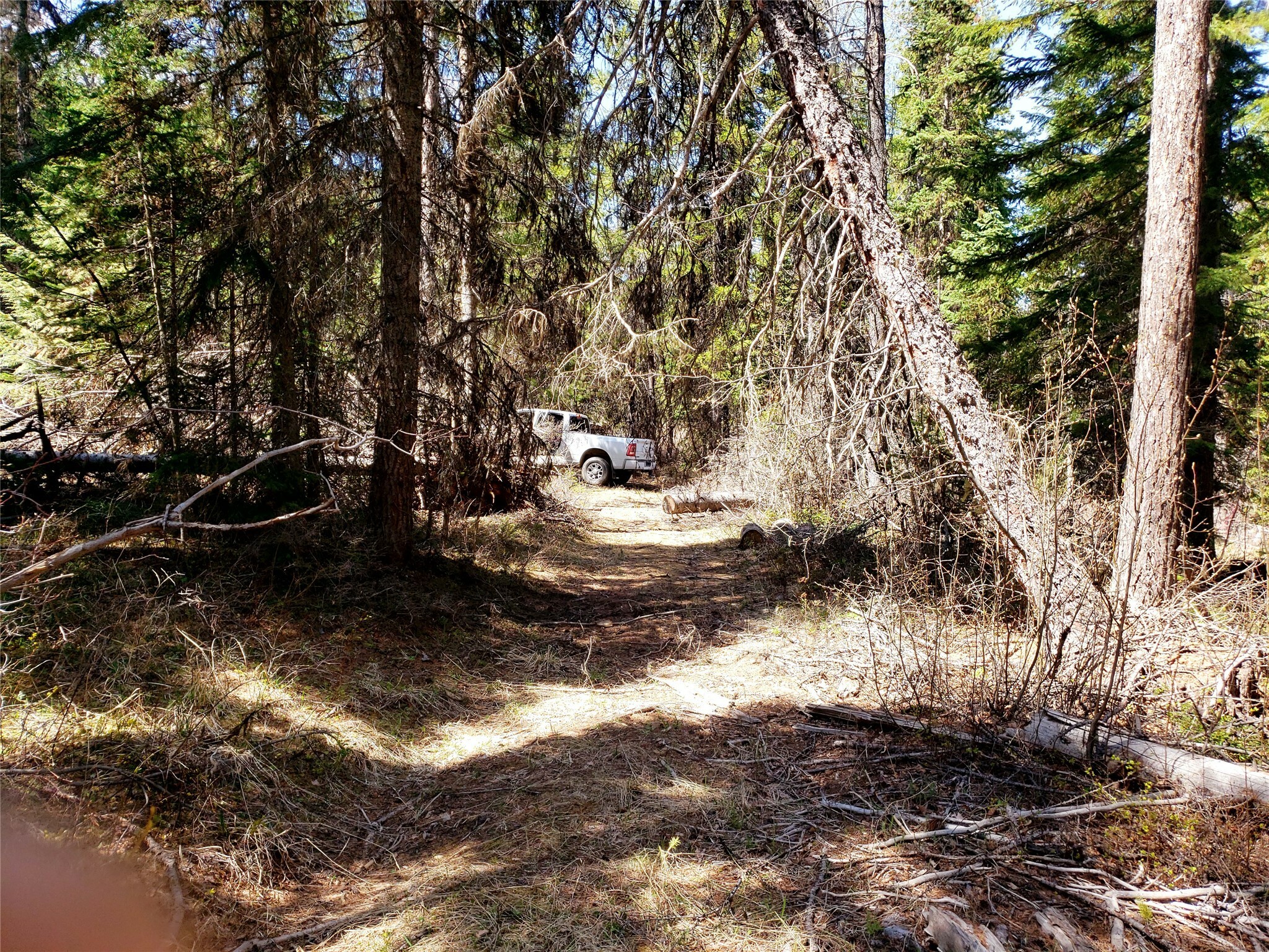 Property Photo:  Tract 6 Nine Mile Road  MT 59846 